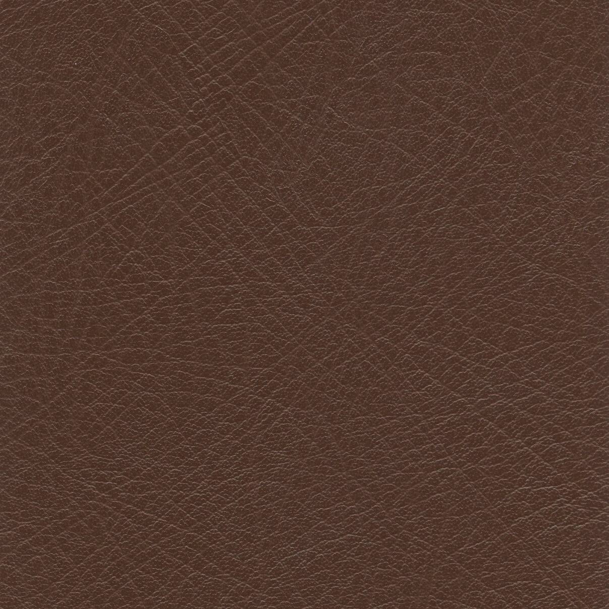 LEXI-CHESTNUT CHESTNUT (LEXI) (50245)