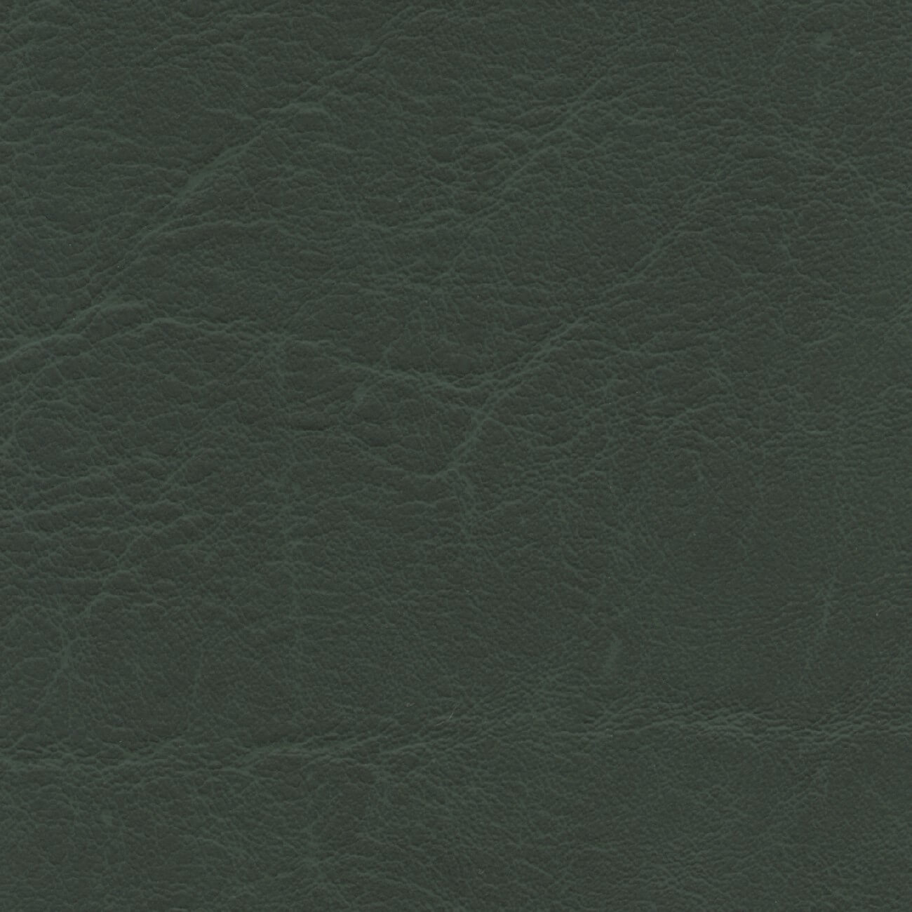CR503 FOREST GREEN (CARRARA)