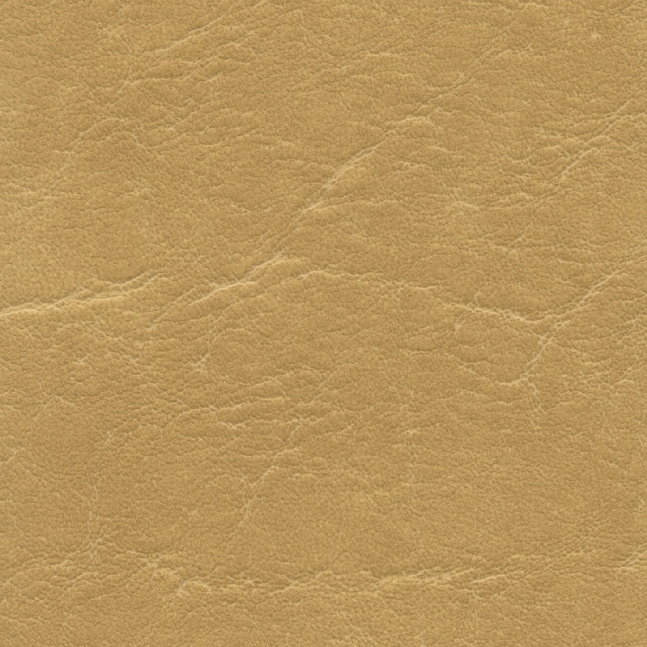 CR504 GOLD (CARRARA)