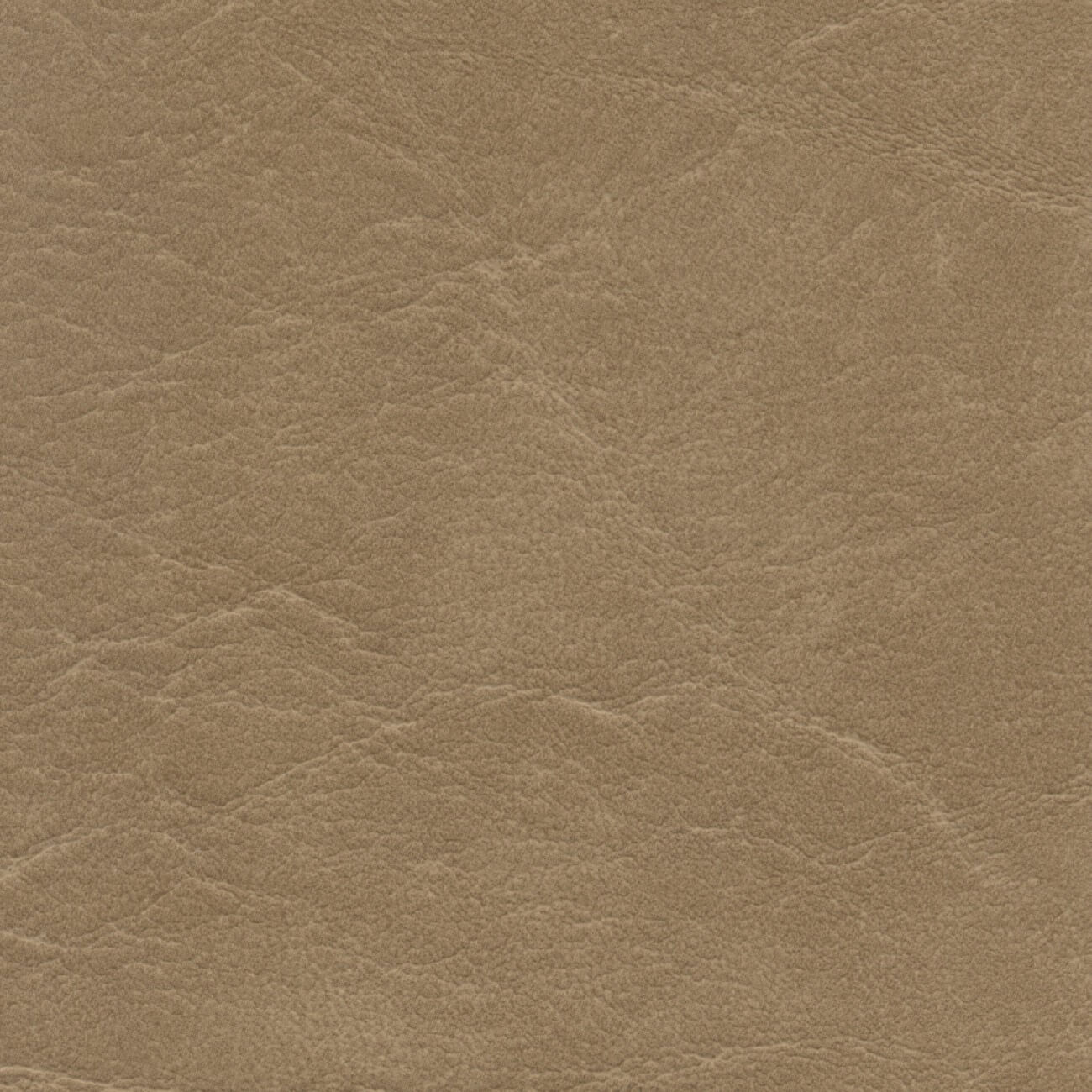 CR506 CAMEL (CARRARA)
