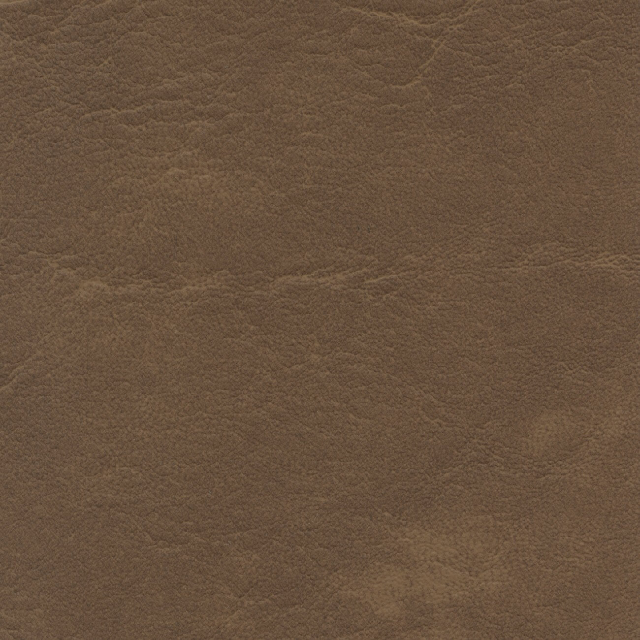 CR510 BUCK (CARRARA)