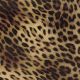 12005-cheetah-compass-thumbnail.jpg