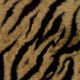 12007-tiger-compass-thumbnail.jpg