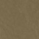 12023-maple-compass-thumbnail.jpg