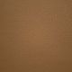 31812 SIENNA (PECOS)