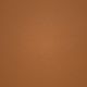 31821 BURNT ORANGE (PECOS)