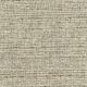 46506 COSMIC LATTE (JUPITER)