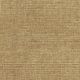 46516 PUMPKIN SPICE (JUPITER)
