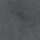 46528 DARK ASH (AUGUSTA)