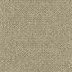 48317 CARAMEL (DUKE)