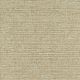 52421 MAIZE (JUPITER)