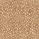 52450 NUTMEG (LITTLETON)