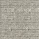 52560 COSMIC LATTE (JUPITER)