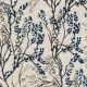 53905 GLACIER (DOGWOOD)
