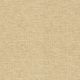 54007 CANVAS (ASTRO)