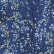 54020 BLUEBERRY (DOGWOOD)