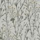 54232-desert-pom-pom_thumbnail.jpg
