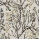 54405 DESERT (DOGWOOD)