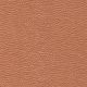 54407 CORAL (ABBOT)