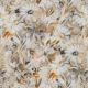 54505 WHEAT (DAISY)