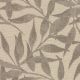 54542 DOVE (LOUVELLE)