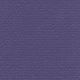 CH384 PURPLE (CHAMPION)