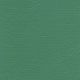 CH522 KELLY GREEN (CHAMPION)