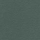 CH589 FOREST GREEN (CHAMPION)