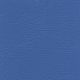CH745 CHAMPION BLUE (CHAMPION)