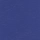 CH757 ROYAL BLUE (CHAMPION)