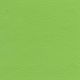 LUX110 LIME (LUXSPORT)