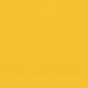 RT261 YELLOW (ADVANTAGE 18)