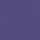 RT310 PURPLE (ADVANTAGE 18)