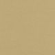 STX8808 CHAMPAGNE (SILVERTEX)