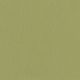 STX8819 CELERY (SILVERTEX)