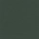 XTR613 FOREST GREEN (XTREME)
