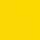 ZAN3114 YELLOW (ZANDER)
