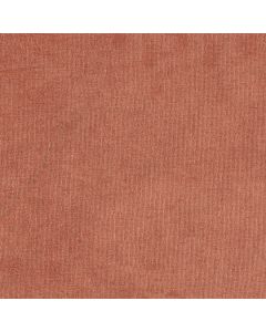 46311 TANGERINE (NOBLE)
