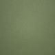 31816 OLIVE (PECOS)