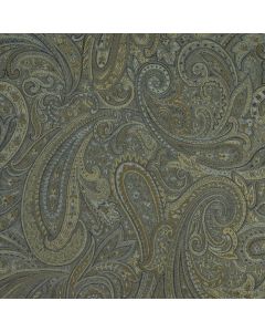 30713 AGATE (LONGORIA)