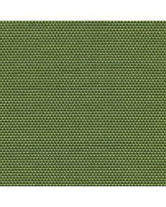 30809 CHIVE (MOLLY)