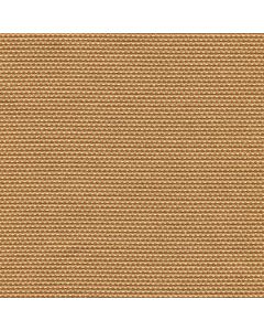 30919 GOLD  (MOLLY)