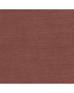 31005 TANGERINE (SONYA) WITH NANOTEX
