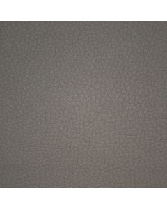 31814 GREY (PECOS)