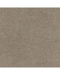 31905 CASHMERE (LULLABY)