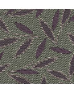 3559 NAPA (JASMINE)