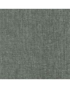 42060 MICA (CHARISMA)