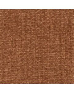 42008 BRONZE (CHARISMA/CRYPTON INCASE)