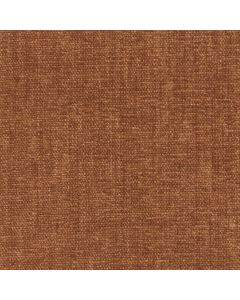 42058 BRONZE (CHARISMA)