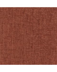 42067 CORAL (CHARISMA)